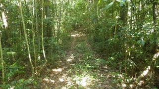 Ellinjaa QLD 4886
