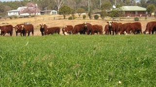1605 Sextonville Rd Dobies Bight NSW 2470
