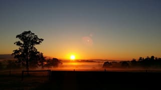 244 Dawsons Track Nilma North VIC 3821