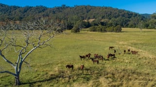 301 Gum Scrub ROad Gum Scrub NSW 2441