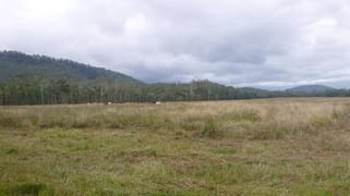1/ Carrig Dhown Road Long Pocket QLD 4850