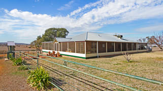 68 Bandiloo Lane Somerton NSW 2340