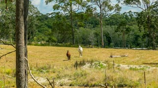 233 Allandale Road North Arm QLD 4561