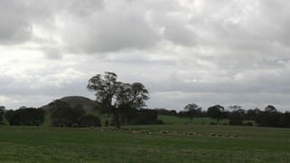 Mt Cavendish Road Cavendish VIC 3314
