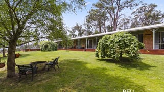 231 Tschampions Road Macclesfield VIC 3782