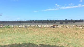 176 Spiers Creek Road Stonehenge QLD 4357