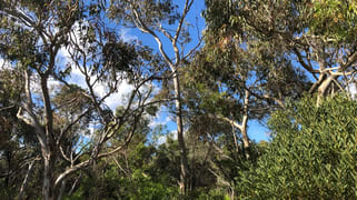 Lot 4 Avenue Range Road Reedy Creek SA 5275