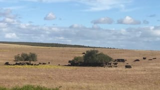 22 Greenwood Coast Rd Breton Bay WA 6043 22 Greenwood Coast Rd Breton Bay WA 6043