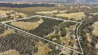 549 Fogartys Gap Road Walmer VIC 3463