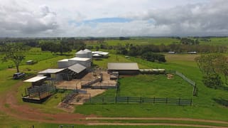 East Barron QLD 4883