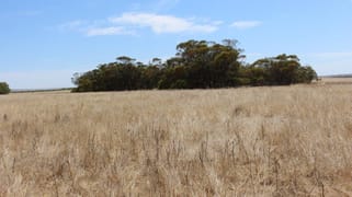 Lot M344 Mt Horner Road Yardarino WA 6525