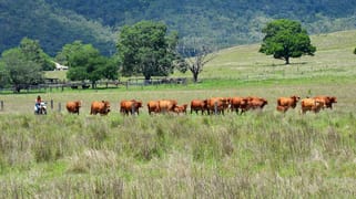 130 Galvin Road Bajool QLD 4699
