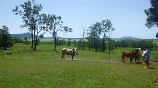 1/ Christies Road Bemerside QLD 4850