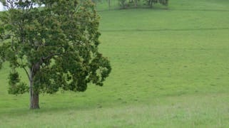 685 Spring Grove Road Spring Grove NSW 2470