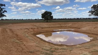 Tomingley NSW 2869