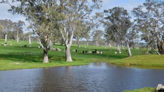 144 Humphries Rd Sandford VIC 3312
