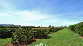 209 Malone Road Mareeba QLD 4880