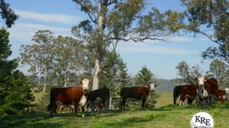 429 Wyndham Creek Road Kyogle NSW 2474