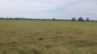 " Amaroo Drive Blocks" Moree NSW 2400 " Amaroo Drive Blocks" Moree NSW 2400