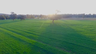 1593 Muttama Road Muttama NSW 2722