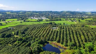 1035C Hinterland Way Bangalow NSW 2479