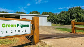 702 Green Pigeon Road Green Pigeon NSW 2474