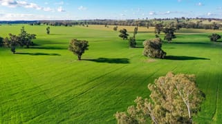 'Truro'/780 Spurrells Rd Pleasant Hills NSW 2658