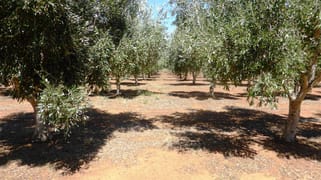 Lot 21 Blyth Plains Road Blyth SA 5462 Lot 21 Blyth Plains Road Blyth SA 5462