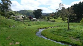 95 Wild Dog Road Apollo Bay VIC 3233