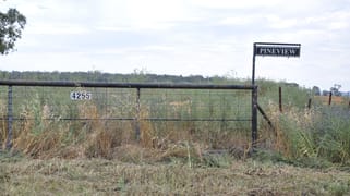4255 Neilrex Road Neilrex NSW 2831