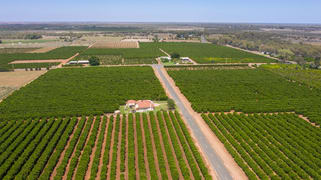 310 Delta Road Curlwaa NSW 2648 310 Delta Road Curlwaa NSW 2648