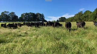 "Fernleigh" 1376 Tops Road Nowendoc NSW 2354