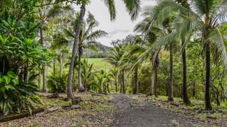 1707 Yakapari Seaforth Road Mount Jukes QLD 4740