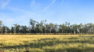 770 BESTS ROAD Drillham South QLD 4424