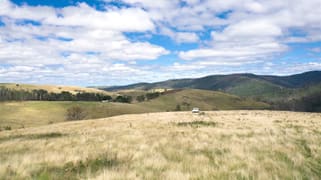 4 Slippery Pinch Road Buchan VIC 3885