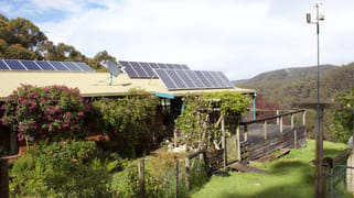685 Wild Dog Road Apollo Bay VIC 3233 685 Wild Dog Road Apollo Bay VIC 3233