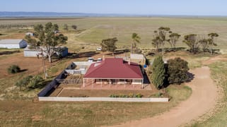 1932 Davis Rd Pirie East SA 5540