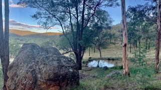 Lot 17 Putty Road Howes Valley NSW 2330 Lot 17 Putty Road Howes Valley NSW 2330