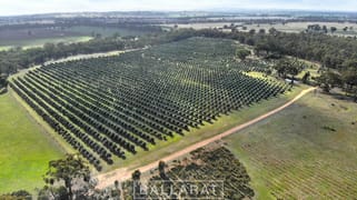 150 Susans Lane Percydale Via Avoca VIC 3467 150 Susans Lane Percydale Via Avoca VIC 3467