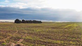 499 Estate Road Nerrin Nerrin VIC 3351 499 Estate Road Nerrin Nerrin VIC 3351