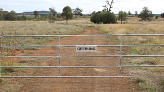 "Geebung" Gwydir Highway Gravesend NSW 2401