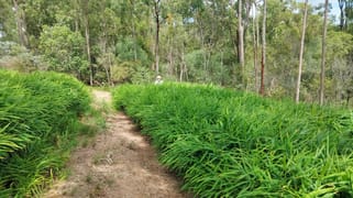 17 Svenssons Road Promisedland QLD 4660