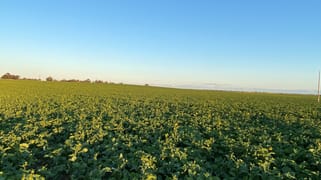 434 Laen-Cope Cope Road Laen VIC 3480