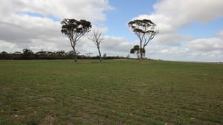 Lot 25303 Dixon Road Narembeen WA 6369