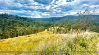 637 Dees Road Belbora NSW 2422