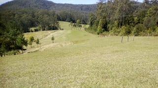 149 The Old Coach Road Batar Creek NSW 2439