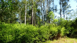 Lot 40-46 Old Wyan Road Rappville NSW 2469