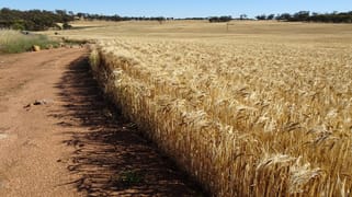Lot 804 Shaddick Road East Pingelly WA 6308 Lot 804 Shaddick Road East Pingelly WA 6308