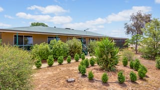 529 Paddys Bridge Road Redbanks SA 5502