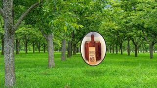 139 Homestead Road Kyogle NSW 2474